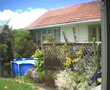 new.pool!