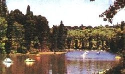 Lago Negro