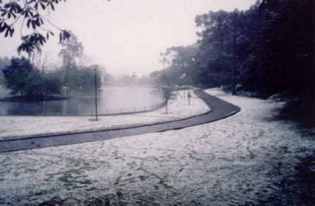 Parque dos Pinheiros