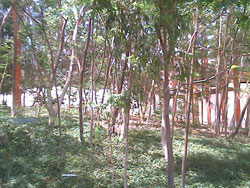 picture 22