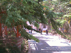 picture 24