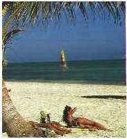 foto playa.jpg (7056 bytes)