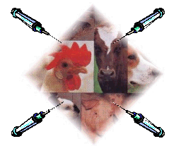vacc.gif (21170 bytes)