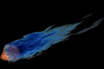 Comet