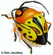 Ken Joudrey - Editorial 3
