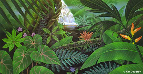 Ken Joudrey - Tropical Waterall