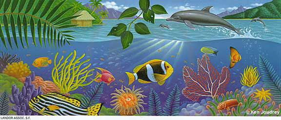 Ken Joudrey - Tropical Waterall