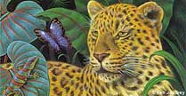 Ken Joudrey - Tiger
