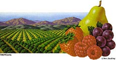 Ken Joudrey - Fruit Scene