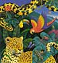 Ken Joudrey - Tropical Animals