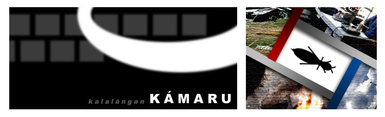 Produksyun a Kamaru