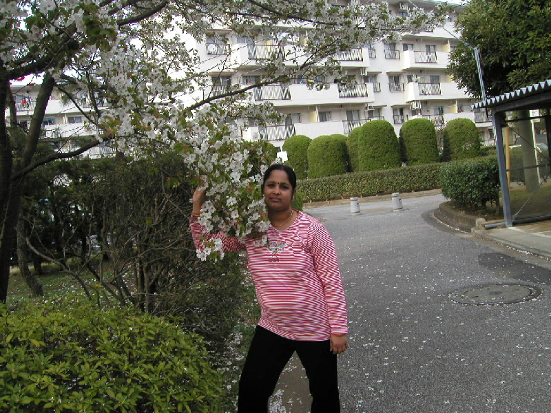 image18