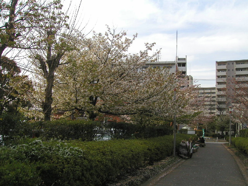 image23