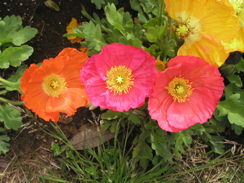 image3