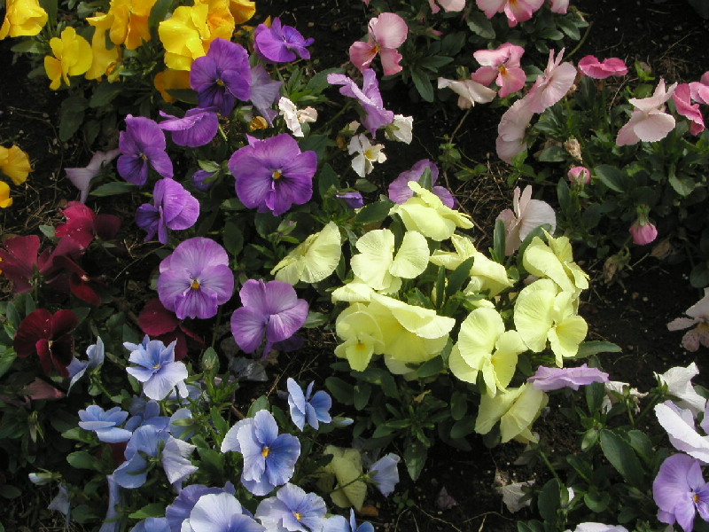 image5