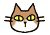 I love cats and candies