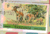 Impala