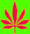 redleaf1.JPG (46174 bytes)