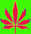 redleafgrn.JPG (72502 bytes)
