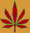 redleafwht G.JPG (78994 bytes)