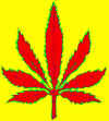 redleafwht.JPG (67407 bytes)