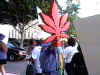 redleaf.jpg (133722 bytes)