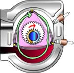 Exhaust