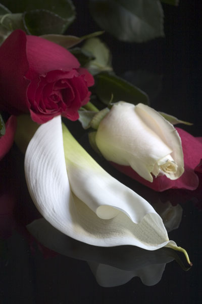 Calla Lilly and Roses (photography by G3 Photography
