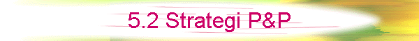 5.2 Strategi P&P