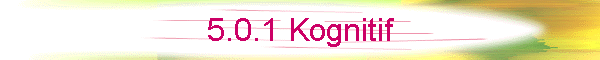 5.0.1 Kognitif