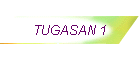 TUGASAN 1