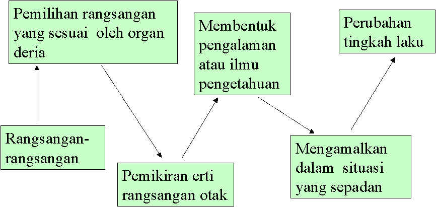 wpe2C.jpg (47017 bytes)