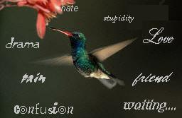 Freedom of Speak...