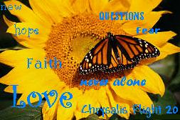 Chrysalis...