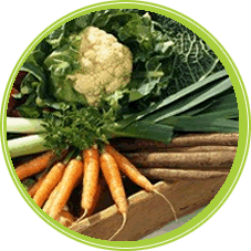 Todos los beneficios de comer verduras