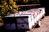 carro-colmenar.gif (134647 bytes)