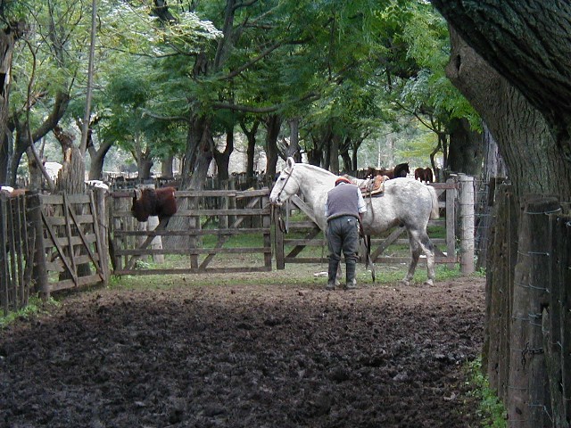 Saddle up