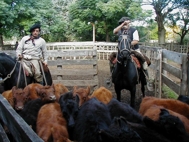 Corral