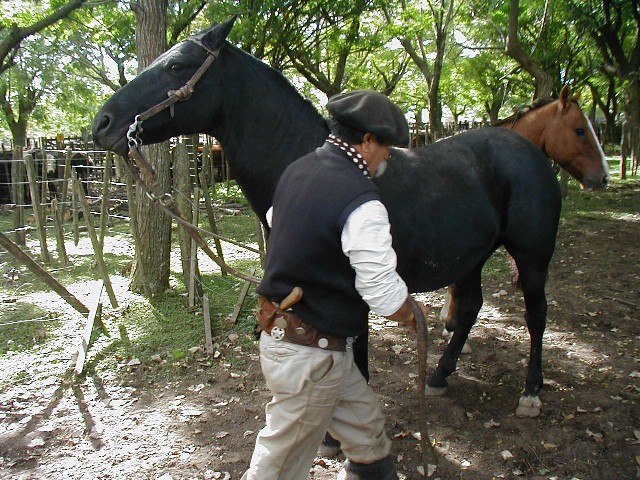 Cinch