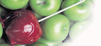 banner3a.gif (8829 bytes)