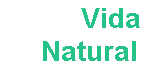 bannervida.bmp (29266 bytes)