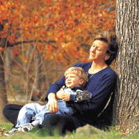 dream.gif (34323 bytes)