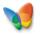 msn.JPG (1017 bytes)