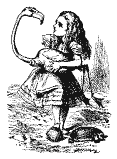 Alice With Flamingo