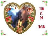 valentin15