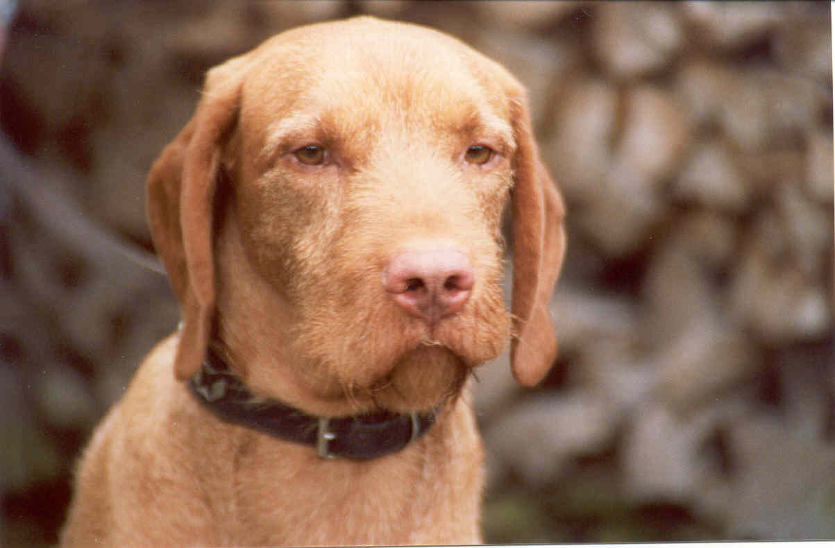 F�rd�h�zi Athos