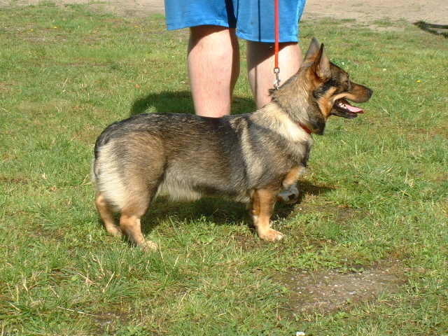 Rita