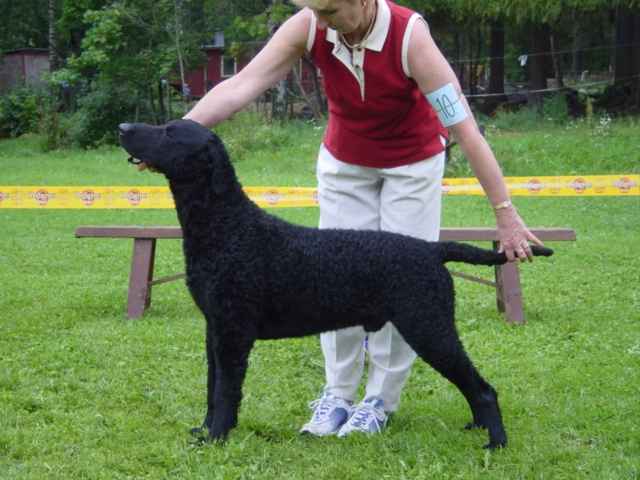 Lemp��l� 21.7.2002 BD-5