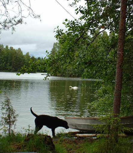Summertime in Kalkkinen!