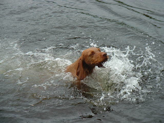 Hot summer 2001, 2002?